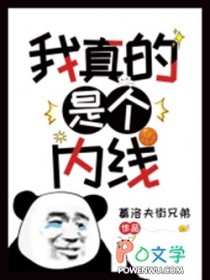 我真的是个内线