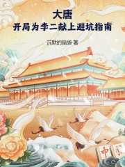 大唐：开局为李二献上避坑指南